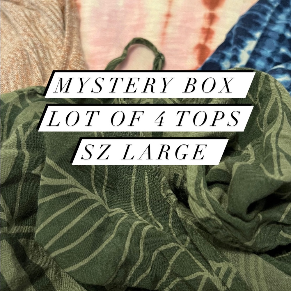 Mystery box lot of 4 tops sz L some new